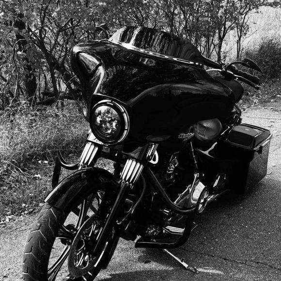 Meet your Posher, Jeremy - Picture 1 of 1